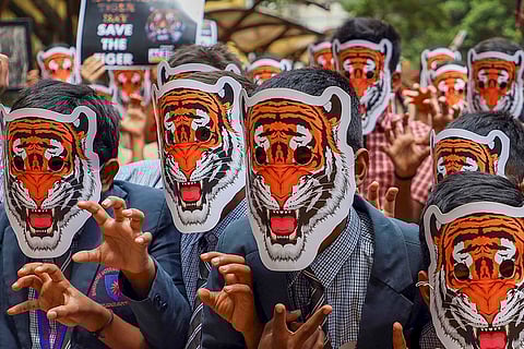 International Tiger Day